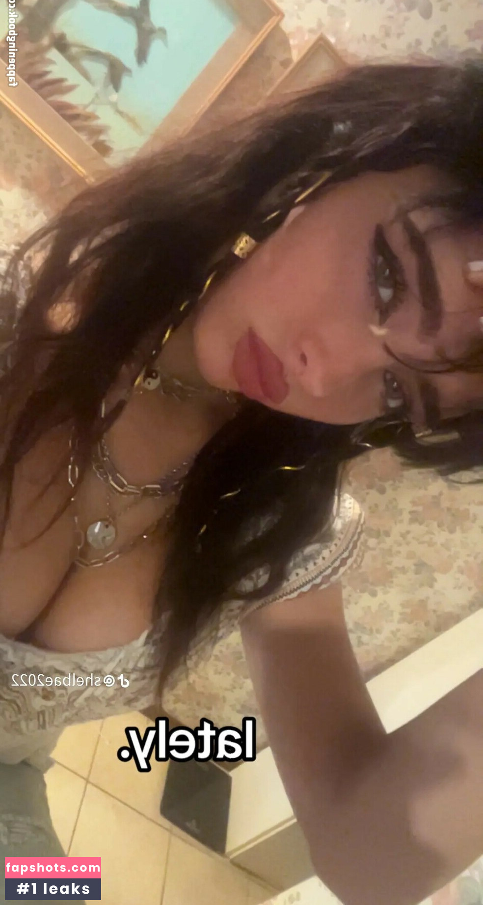 Shelbae2022 Nude Leaks OnlyFans Photos #16 - LeakJerk