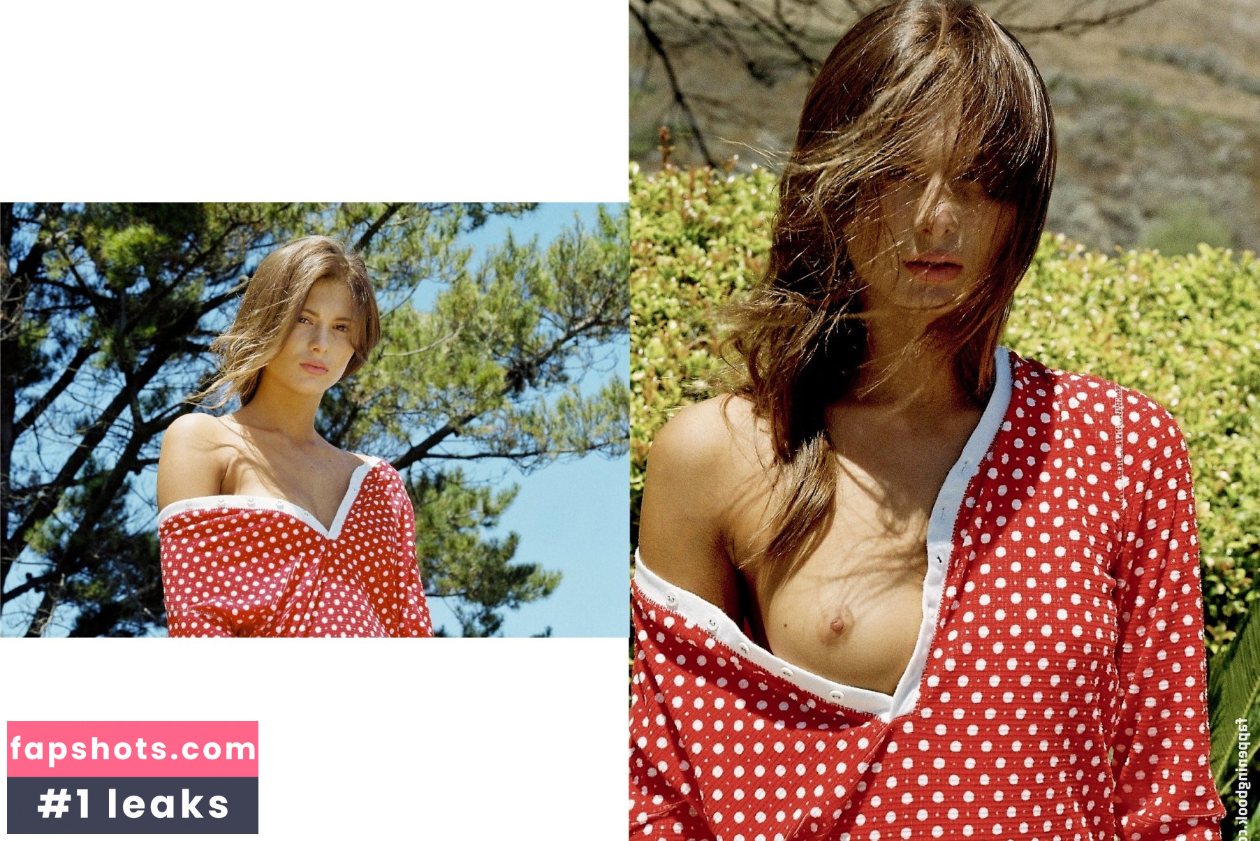 Shelby Bay gallery photo #86