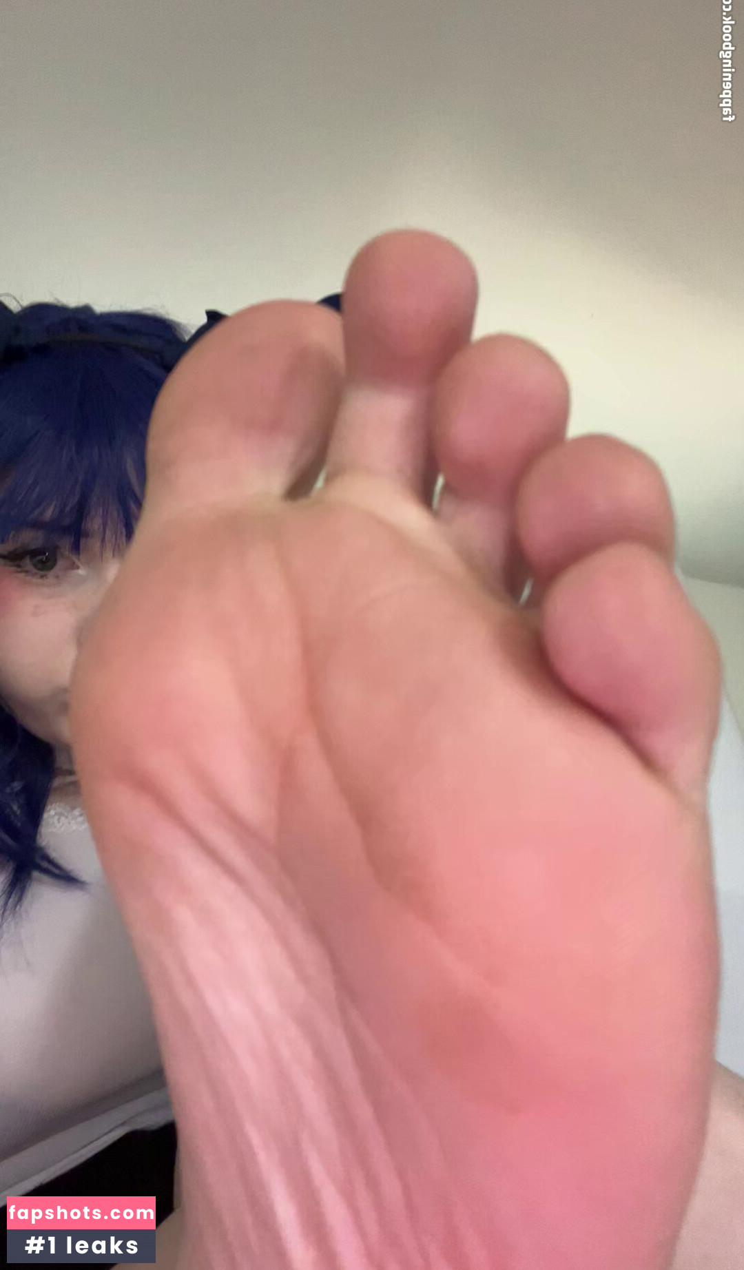 shelbypng gallery photo #10