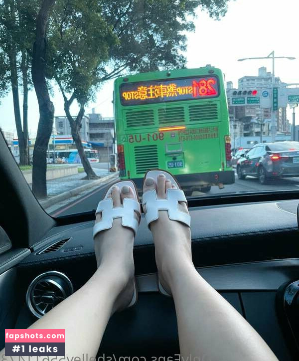 Shelley gallery photo #17