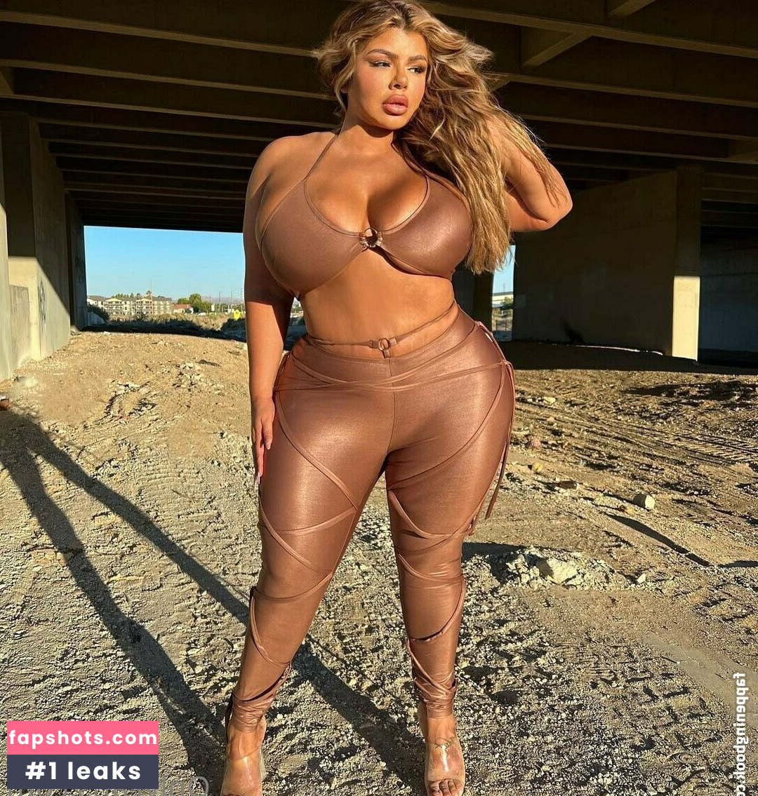 Shellraven gallery photo #46