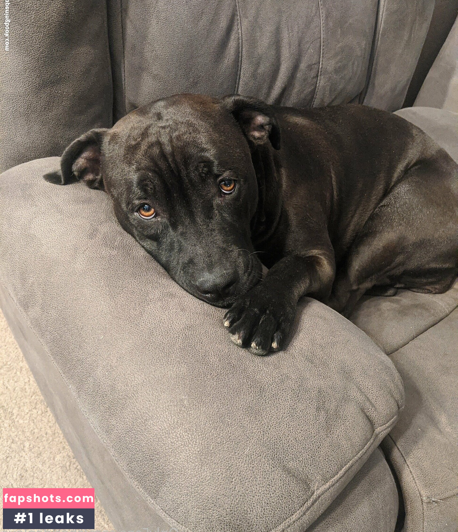 sheridanlove gallery photo #13