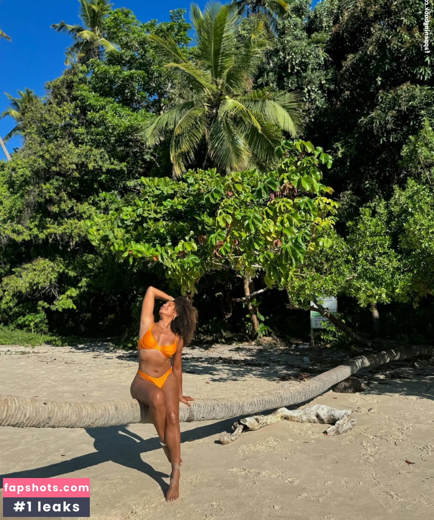 Sheron Menezes gallery photo #52