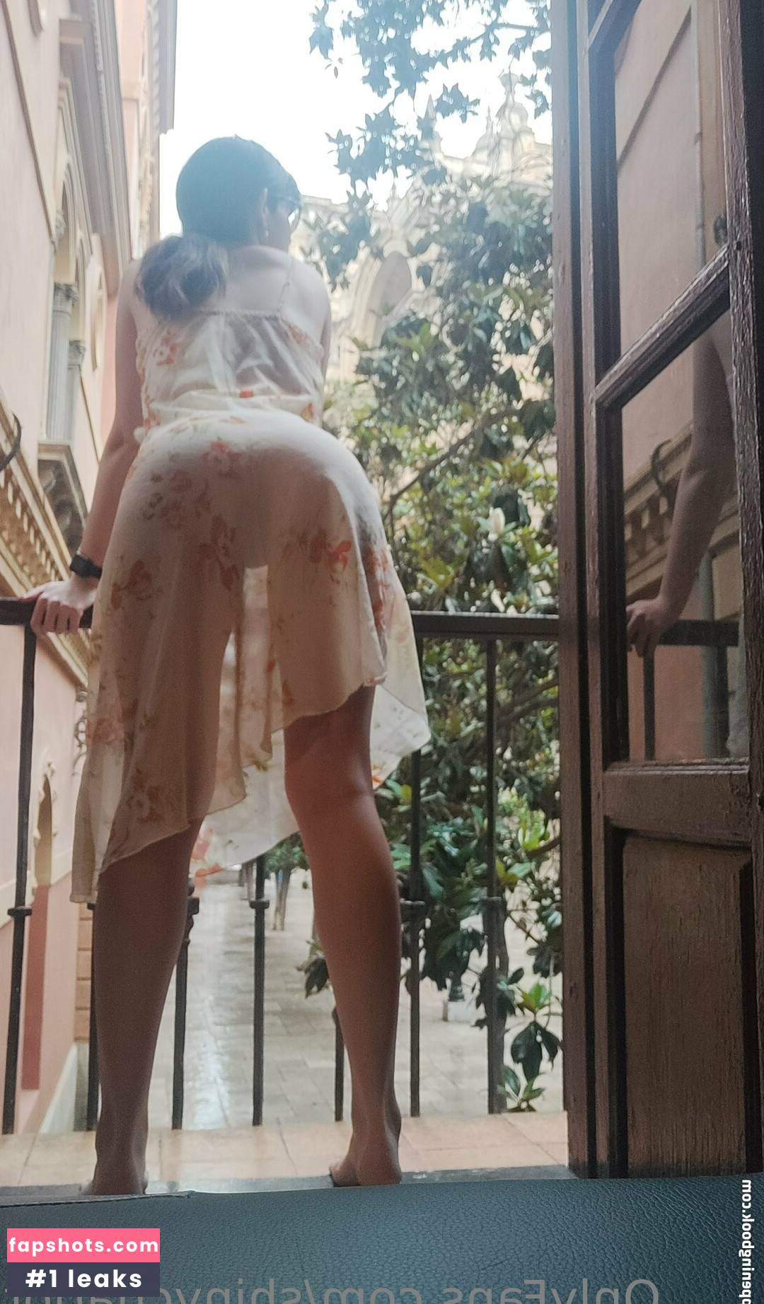 shinychariot gallery photo #24