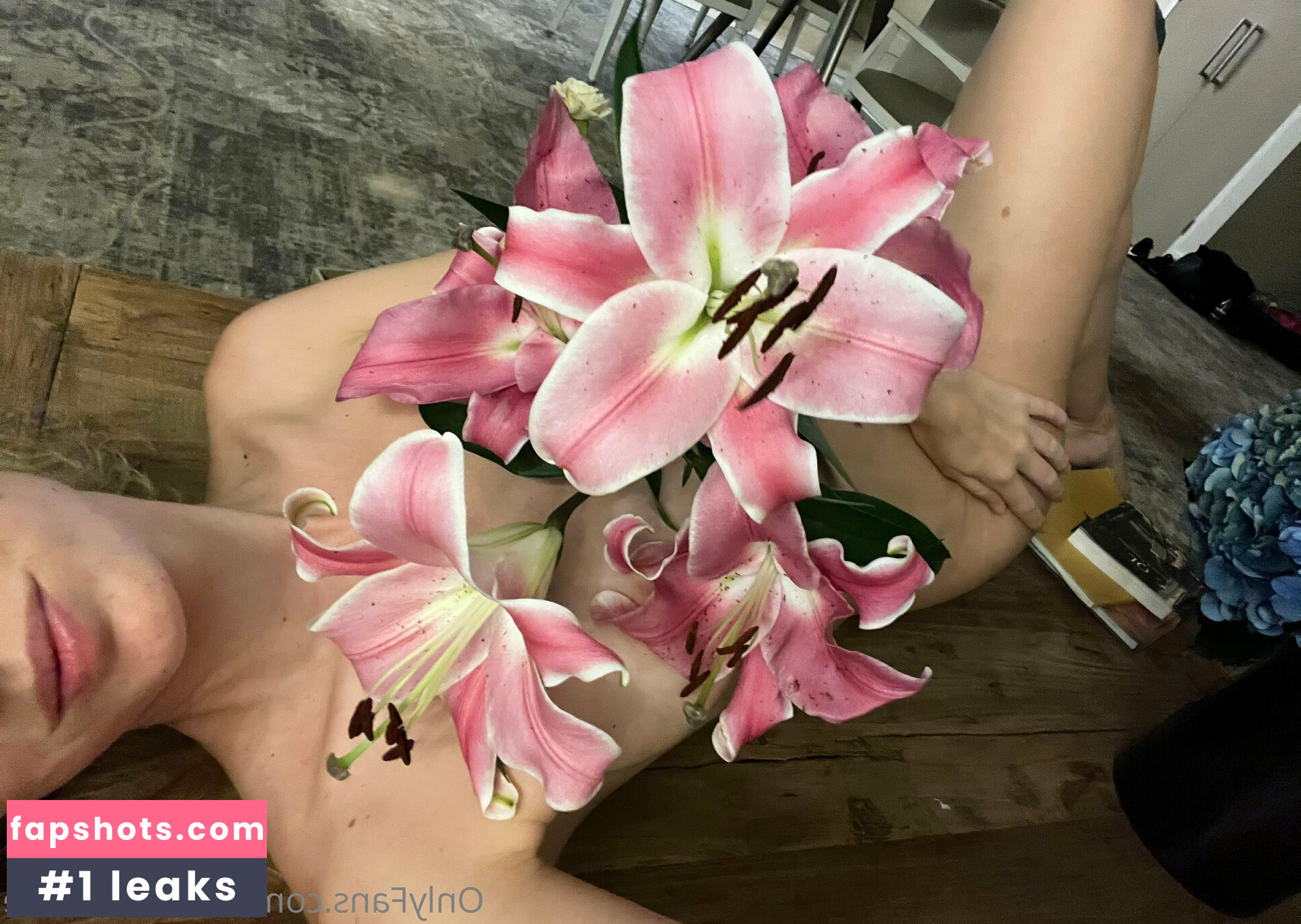 shiraballetfree gallery photo #6