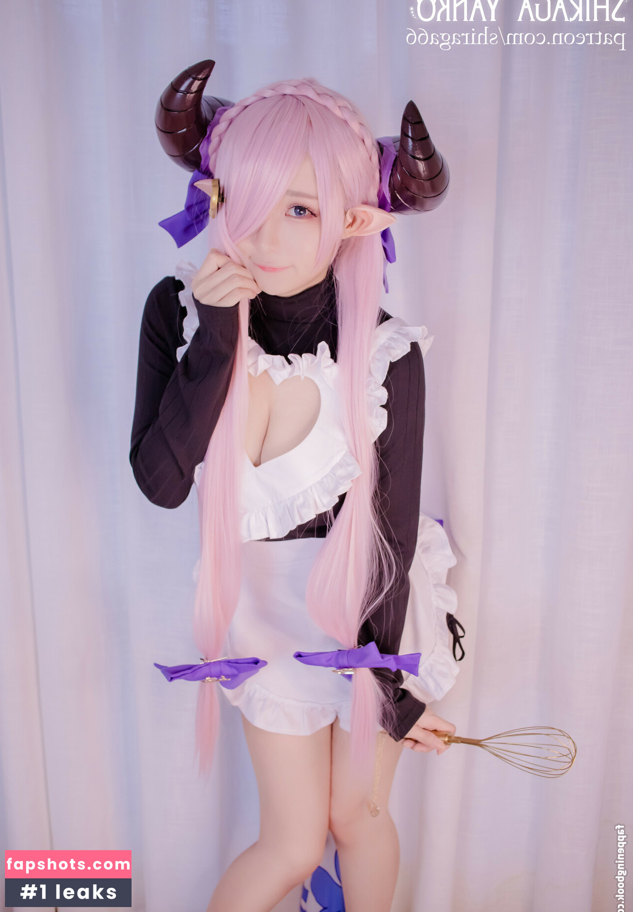 Shiraga Yanko gallery photo #4