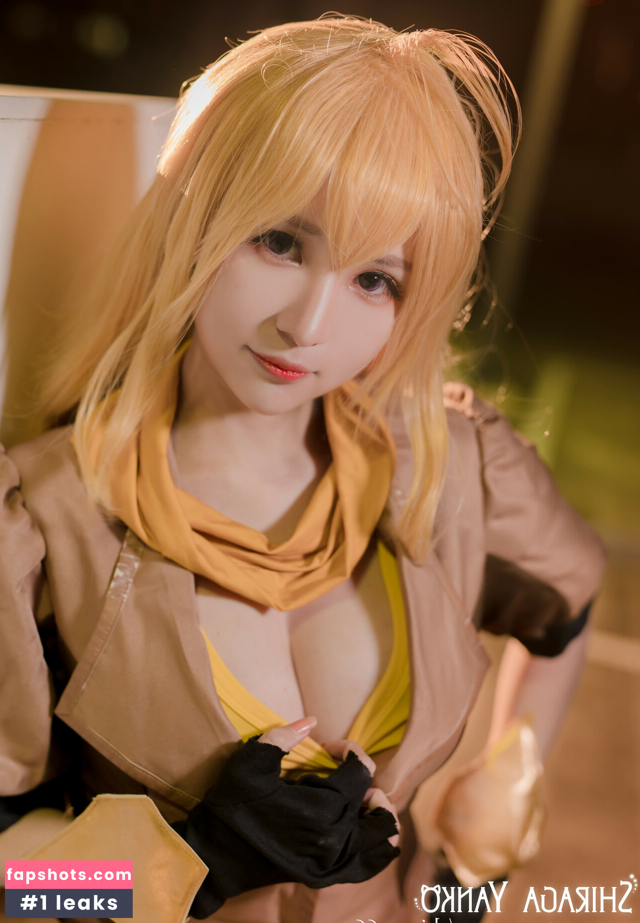 Shiraga Yanko gallery photo #47