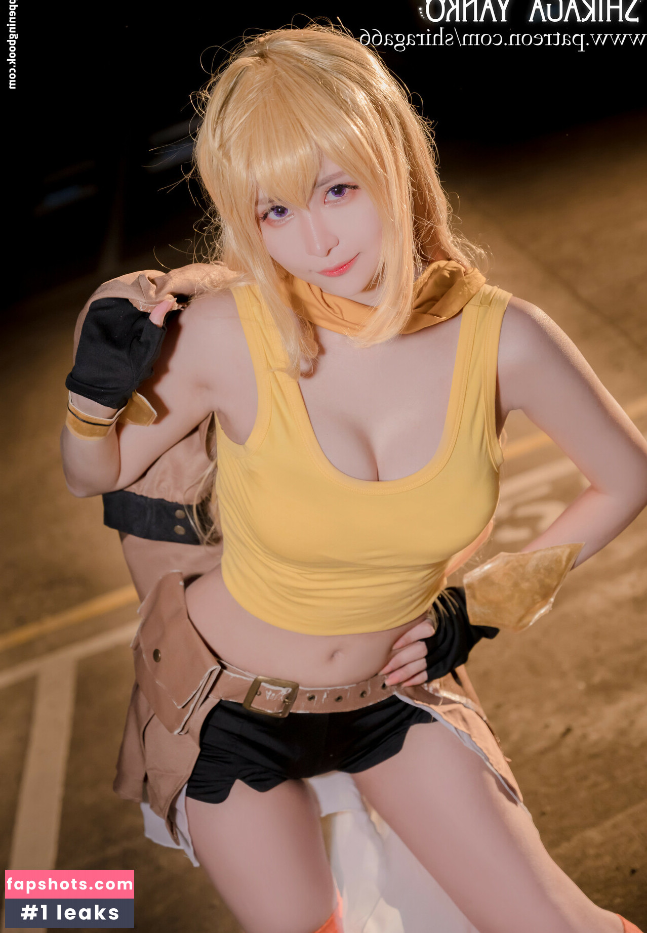 Shiraga Yanko gallery photo #54