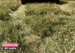 Shiri Allwood gallery photo #55