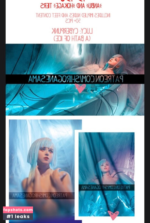 Shirogane-Sama gallery photo #6338