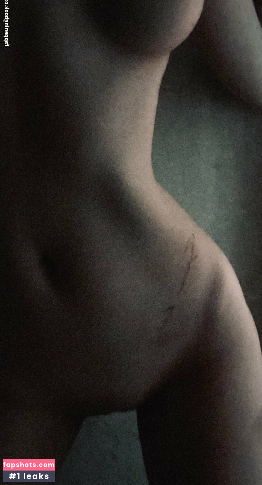 shu_olivia1104 Filtración Desnuda OnlyFans Foto #28 - Fapshots