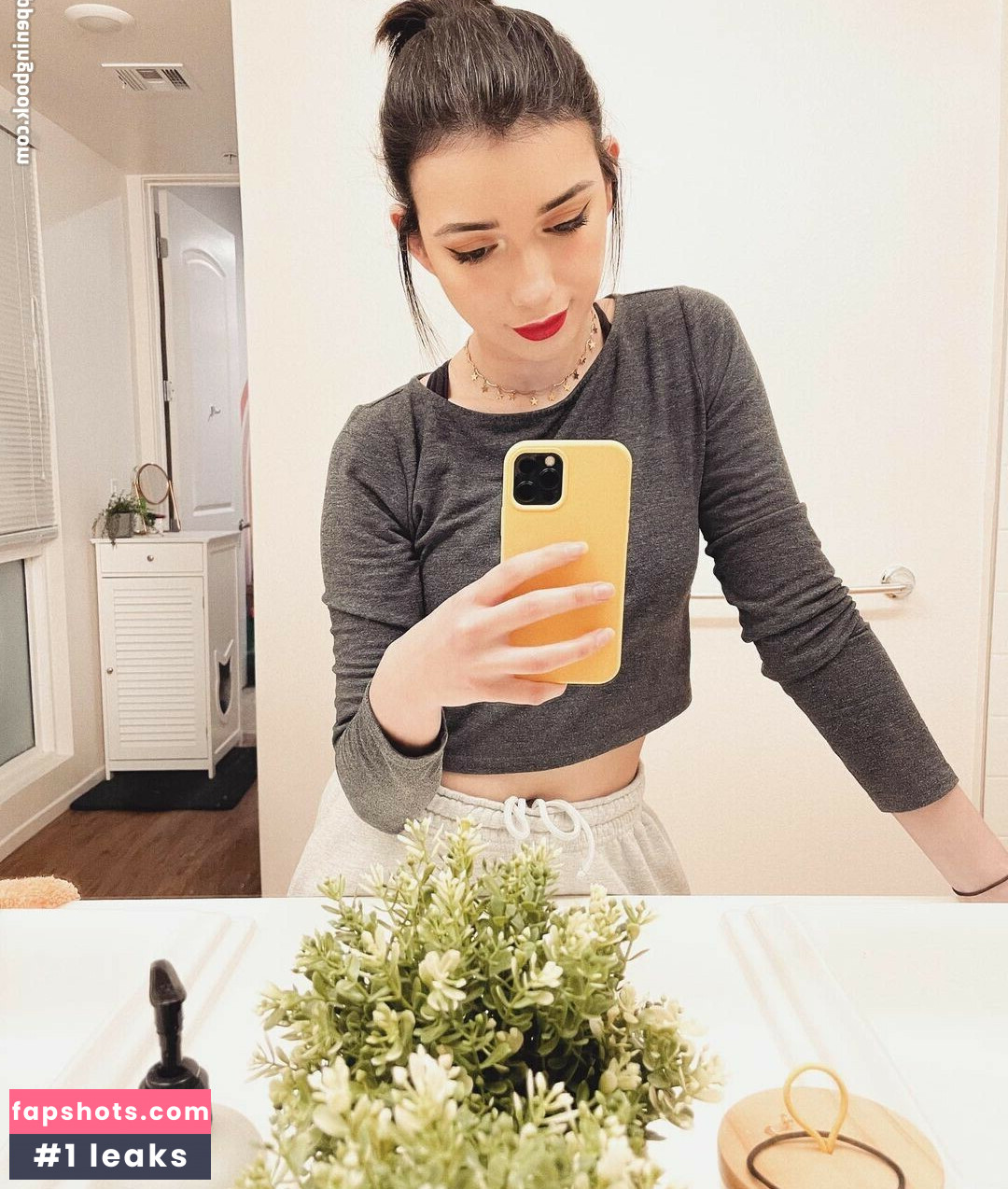 Shubble gallery photo #2