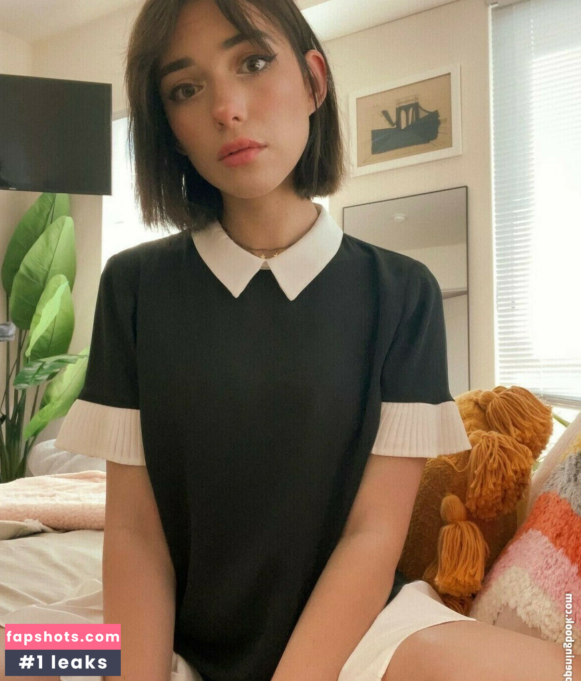 Shubble gallery photo #7