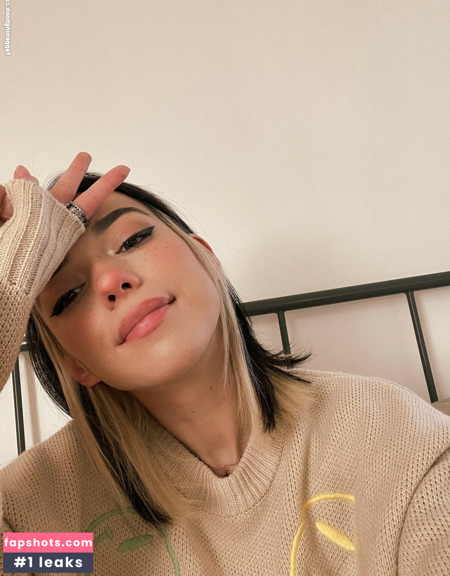 Shubble gallery photo #9