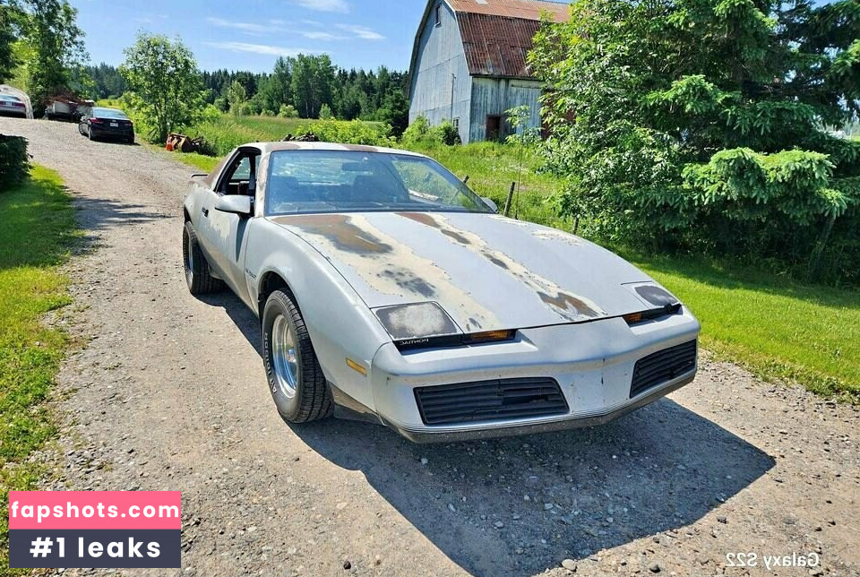 shygal_lilly Nacktheit OnlyFans Fotos #17 - Fapshots