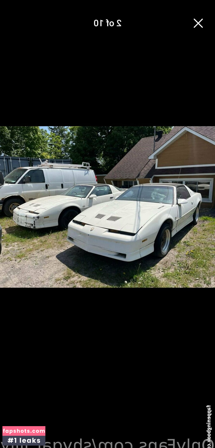 shygal_lilly Nacktheit OnlyFans Fotos #27 - Fapshots