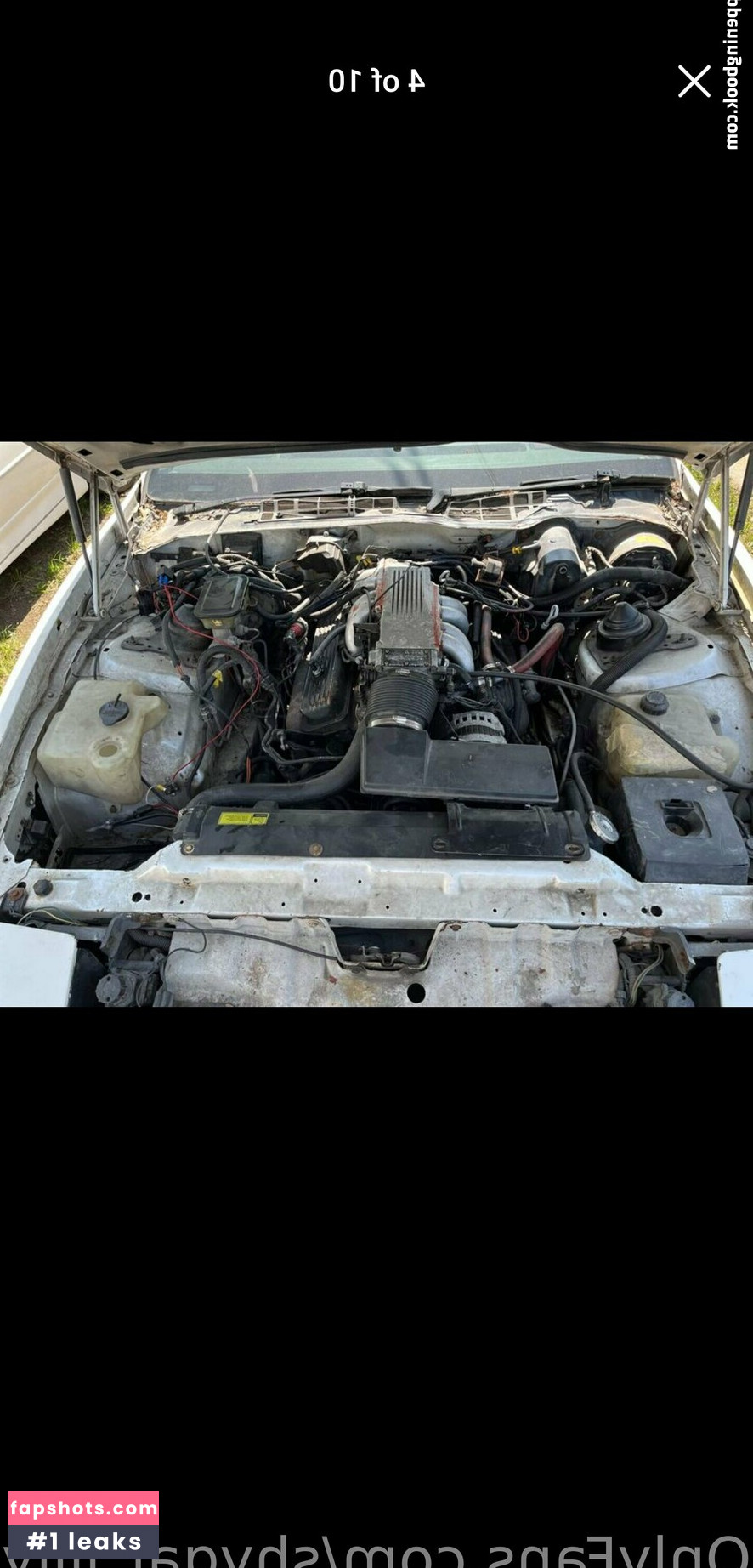 shygal_lilly Nacktheit OnlyFans Fotos #4 - Fapshots