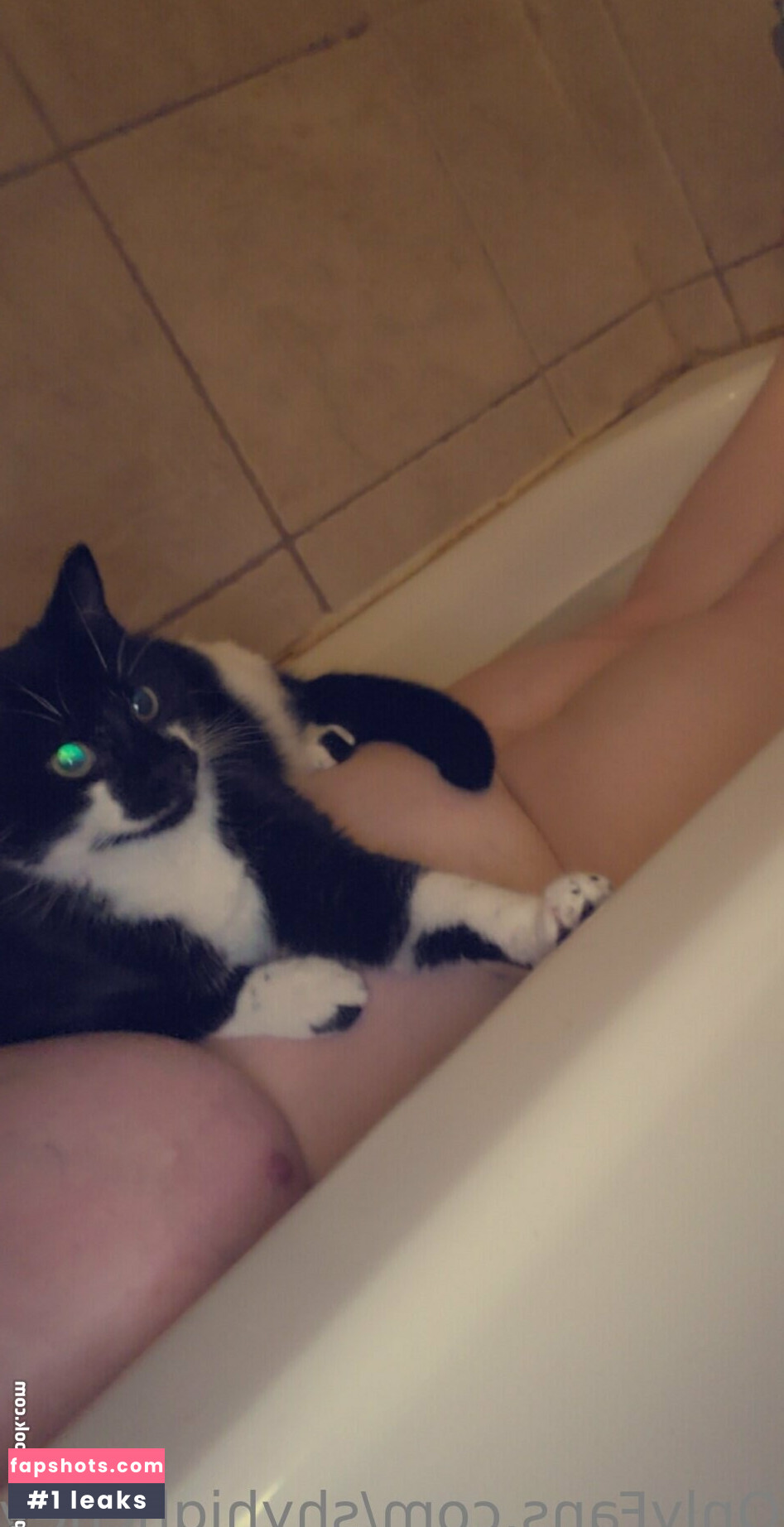 shyhighchey gallery photo #18