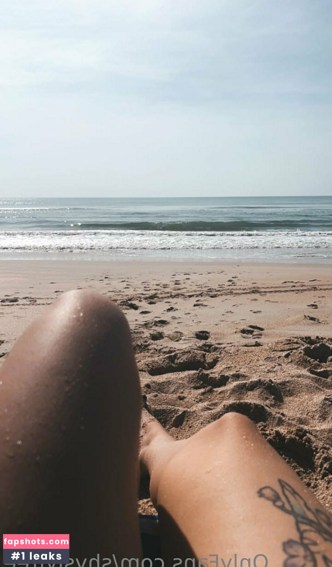 shyslyfree Nude Leaks OnlyFans Photos #17 - LeakJerk