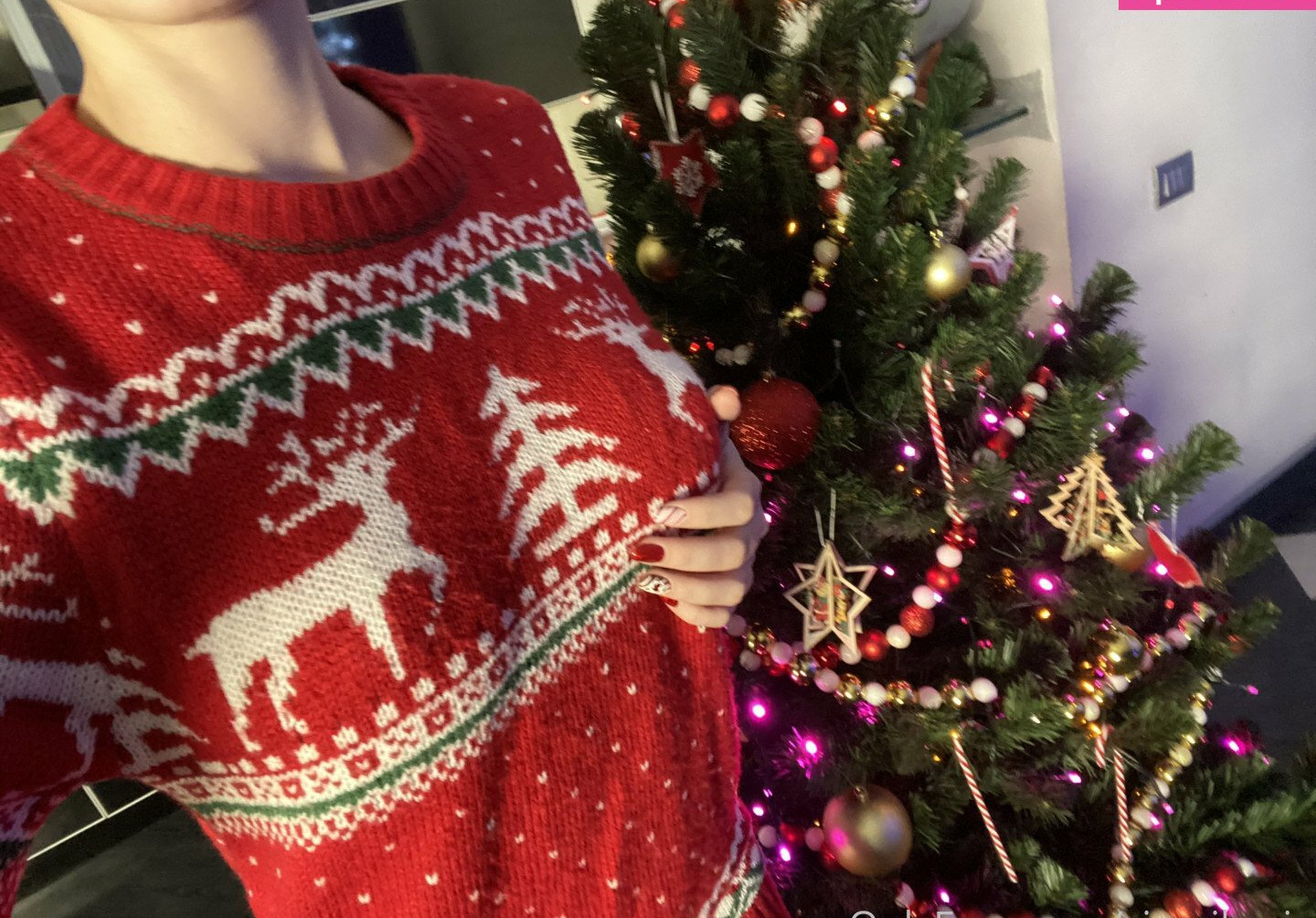 sia-siberia gallery photo #1737