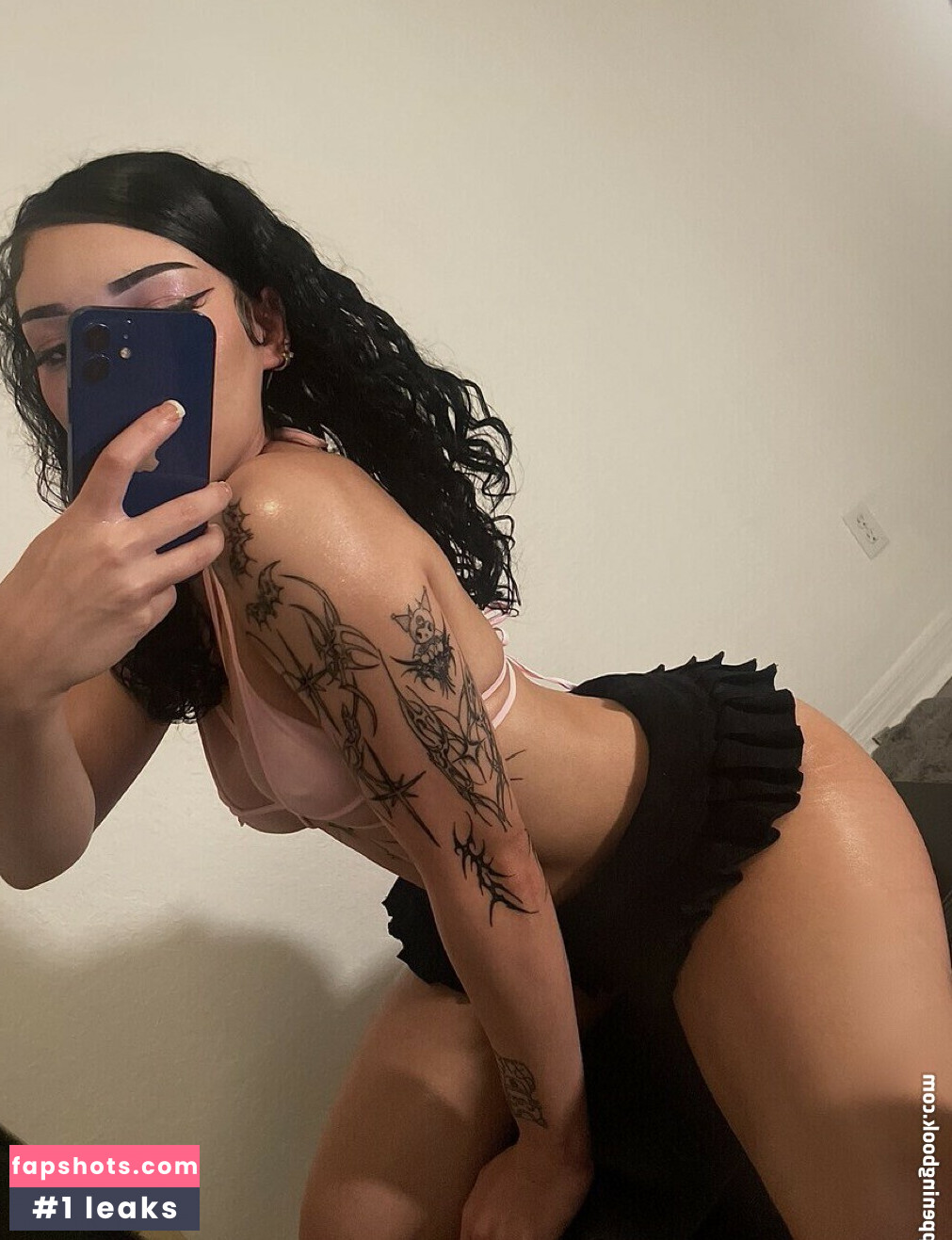 siamesestick gallery photo #6