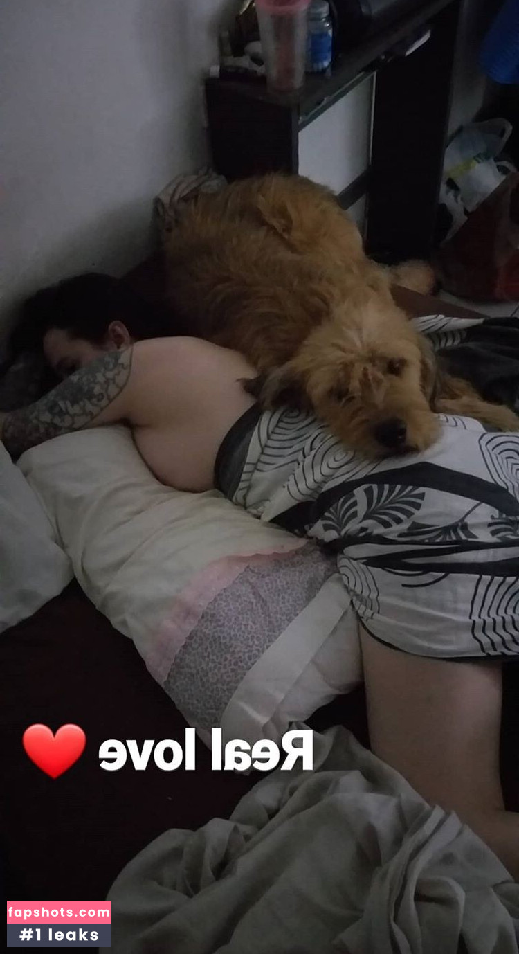 Siddharta gallery photo #13