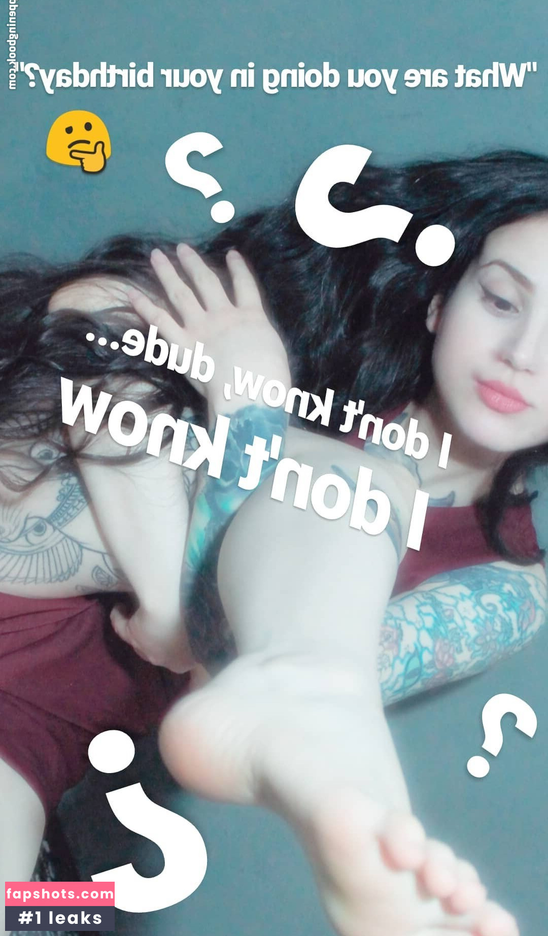 Siddharta gallery photo #15