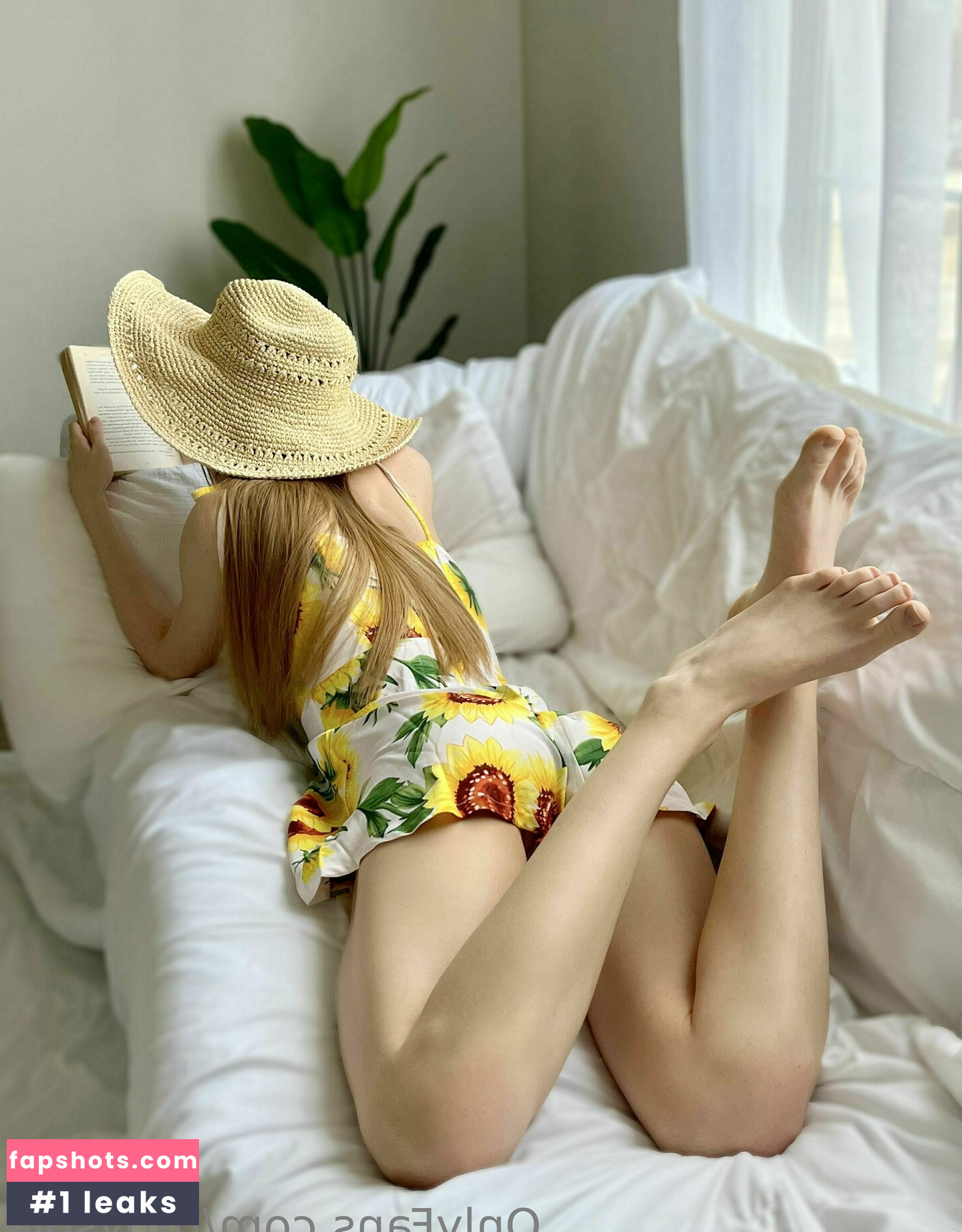 sierralumen gallery photo #20