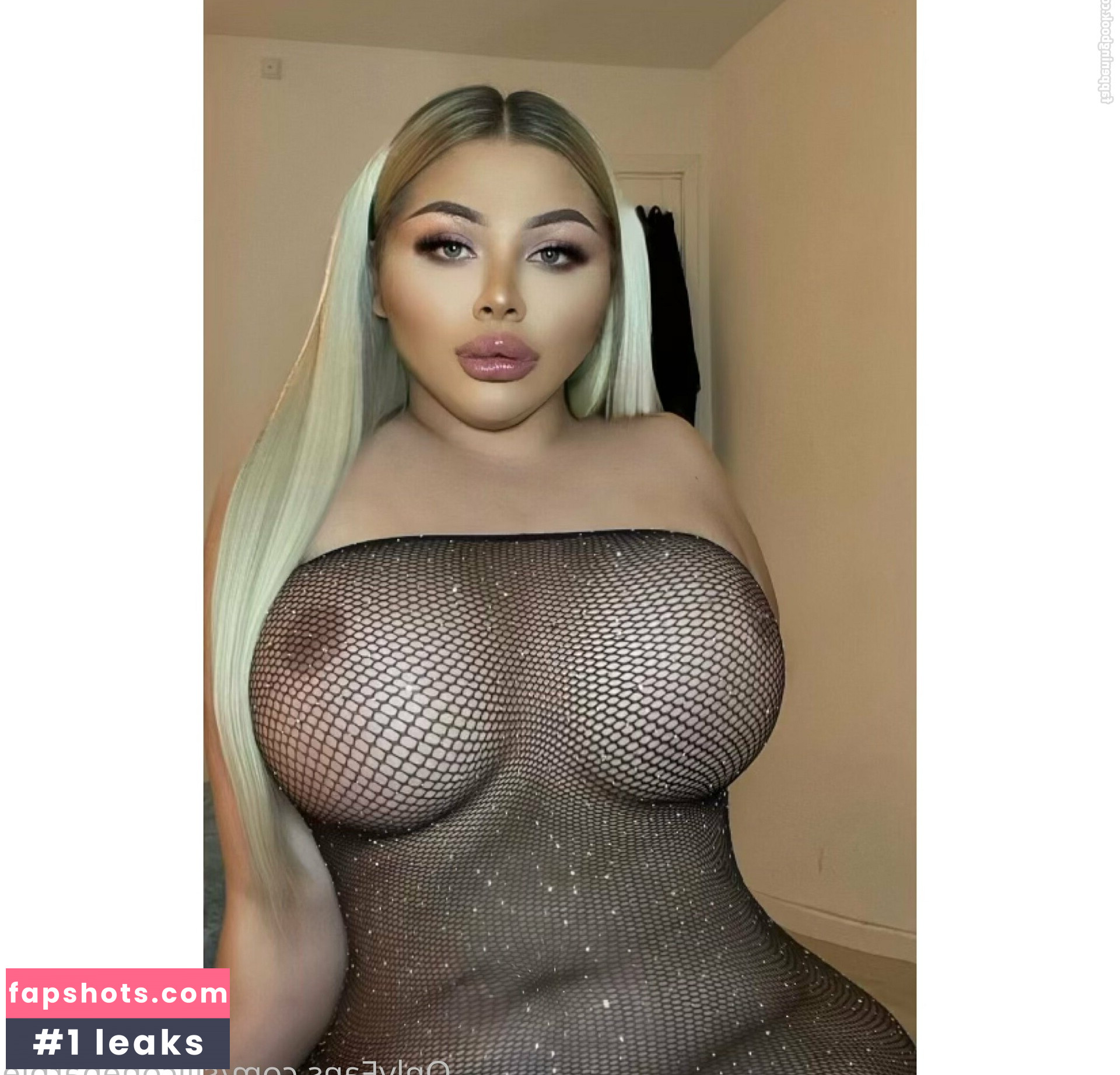 siliconebarbie Filtración Desnuda OnlyFans Foto #9 - Fapshots