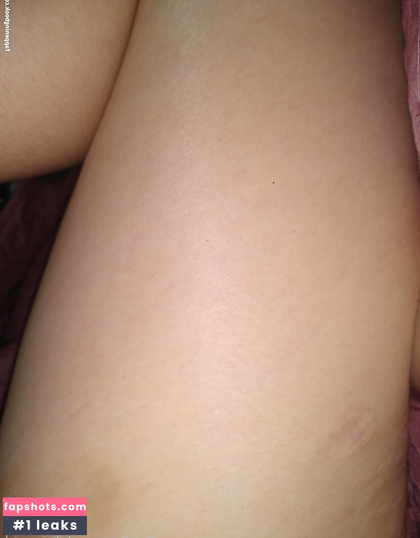 silini.squish gallery photo #18