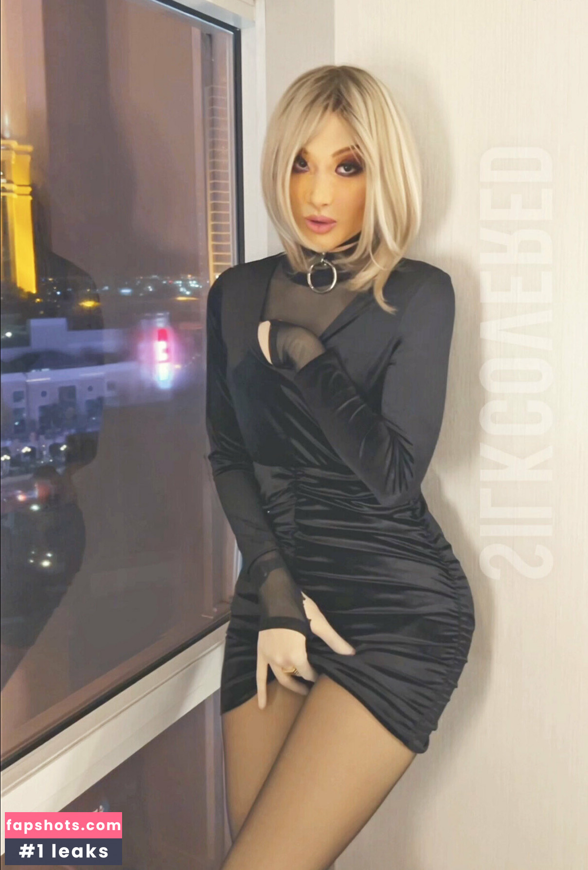 silkcovered gallery photo #4