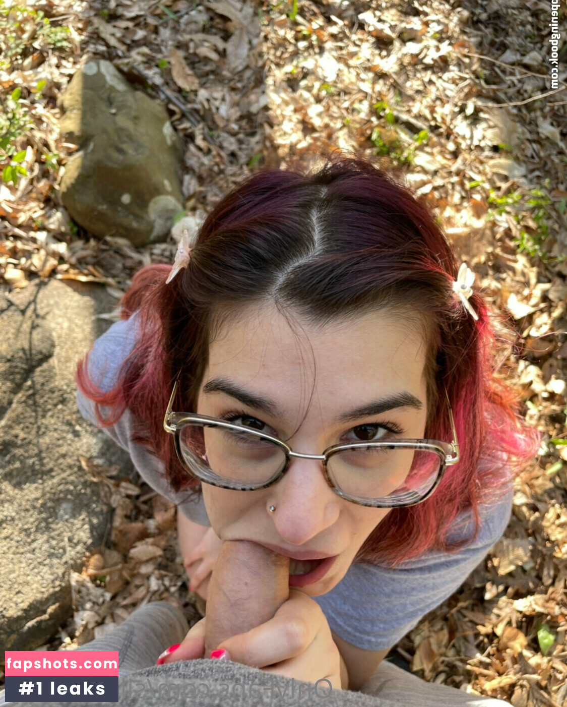 silkiepuppy gallery photo #11