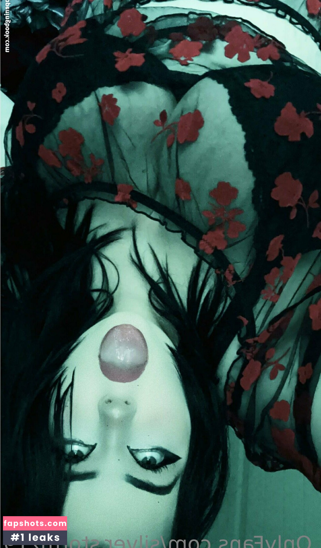 silver.stormz19 gallery photo #24