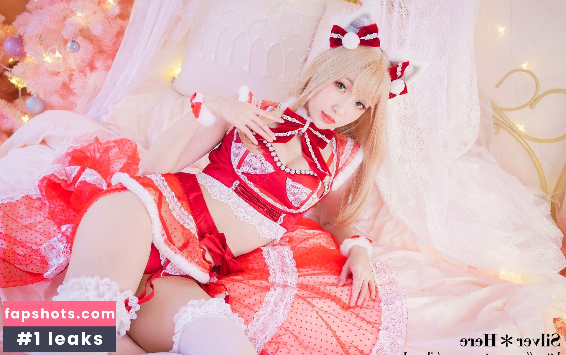 silverxhere gallery photo #12