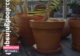 Silvia Saint Nahé úniky fotek pouze od fanoušků #93 - Fapshots