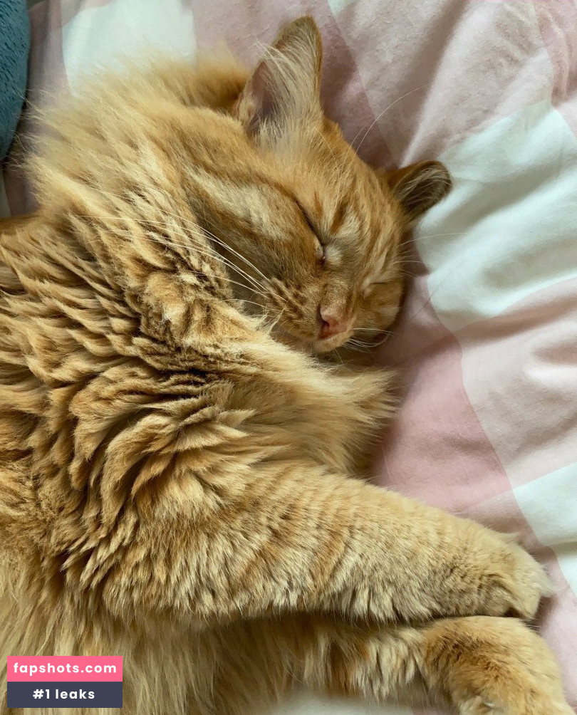 SimensSofia Nude Leaks OnlyFans Photos #337 - LeakJerk