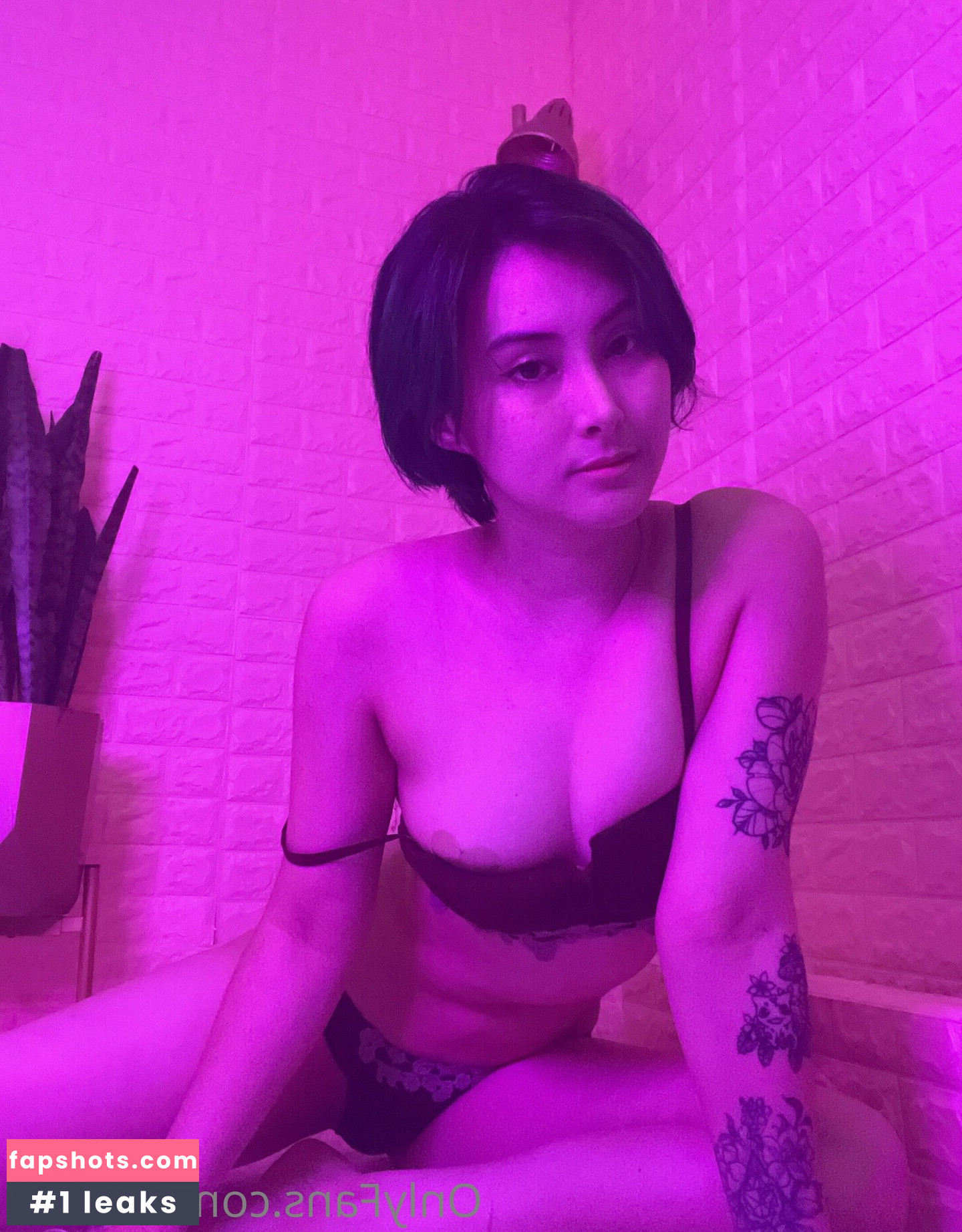 sinastri gallery photo #15