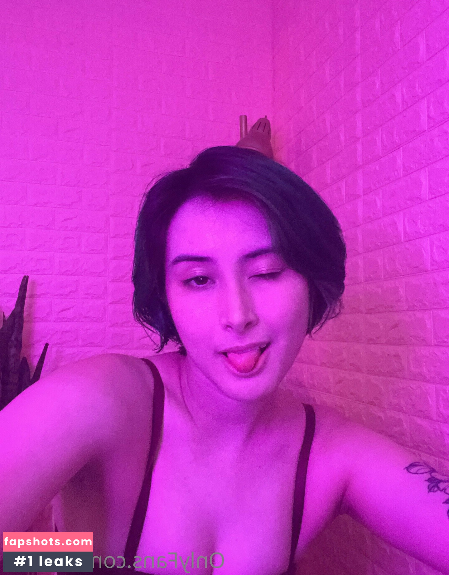 sinastri gallery photo #19