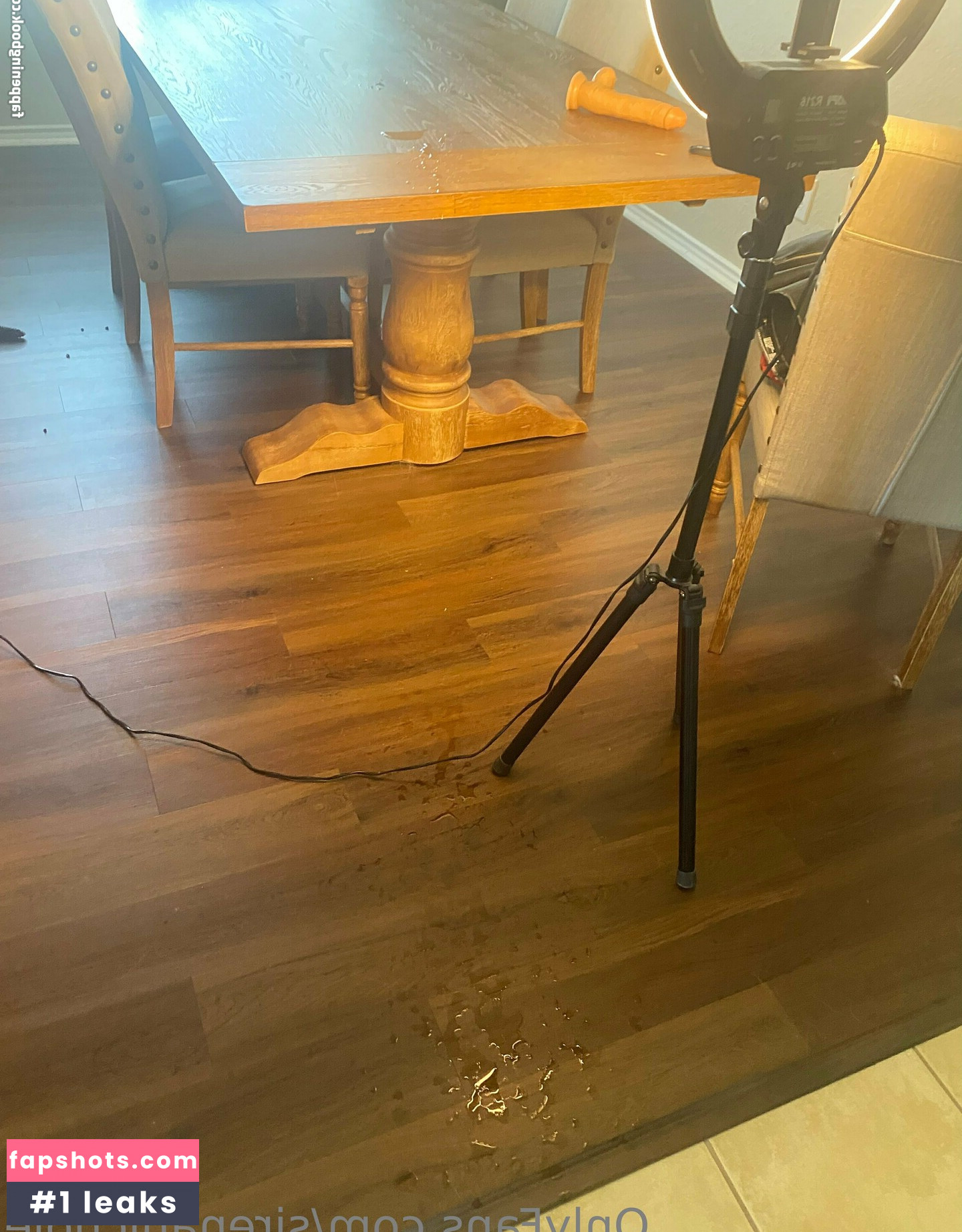 sirenanichole gallery photo #2