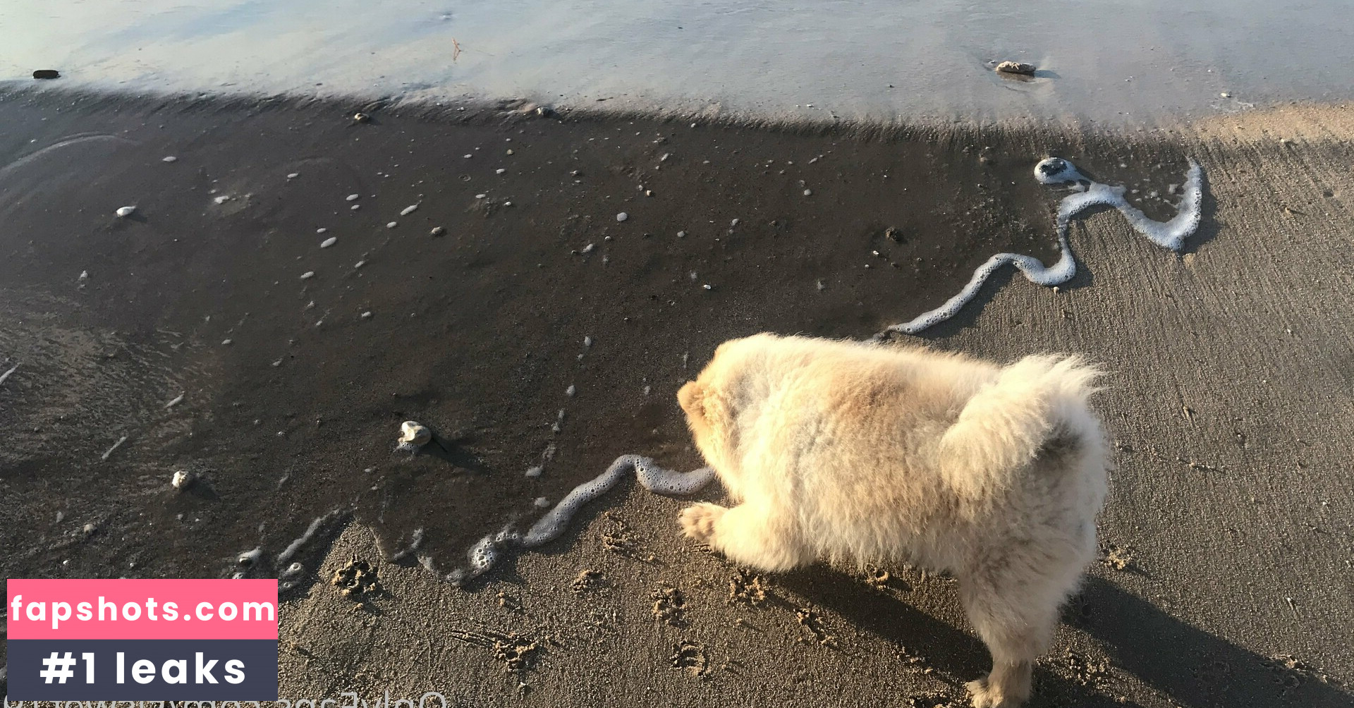 siswet19 gallery photo #188