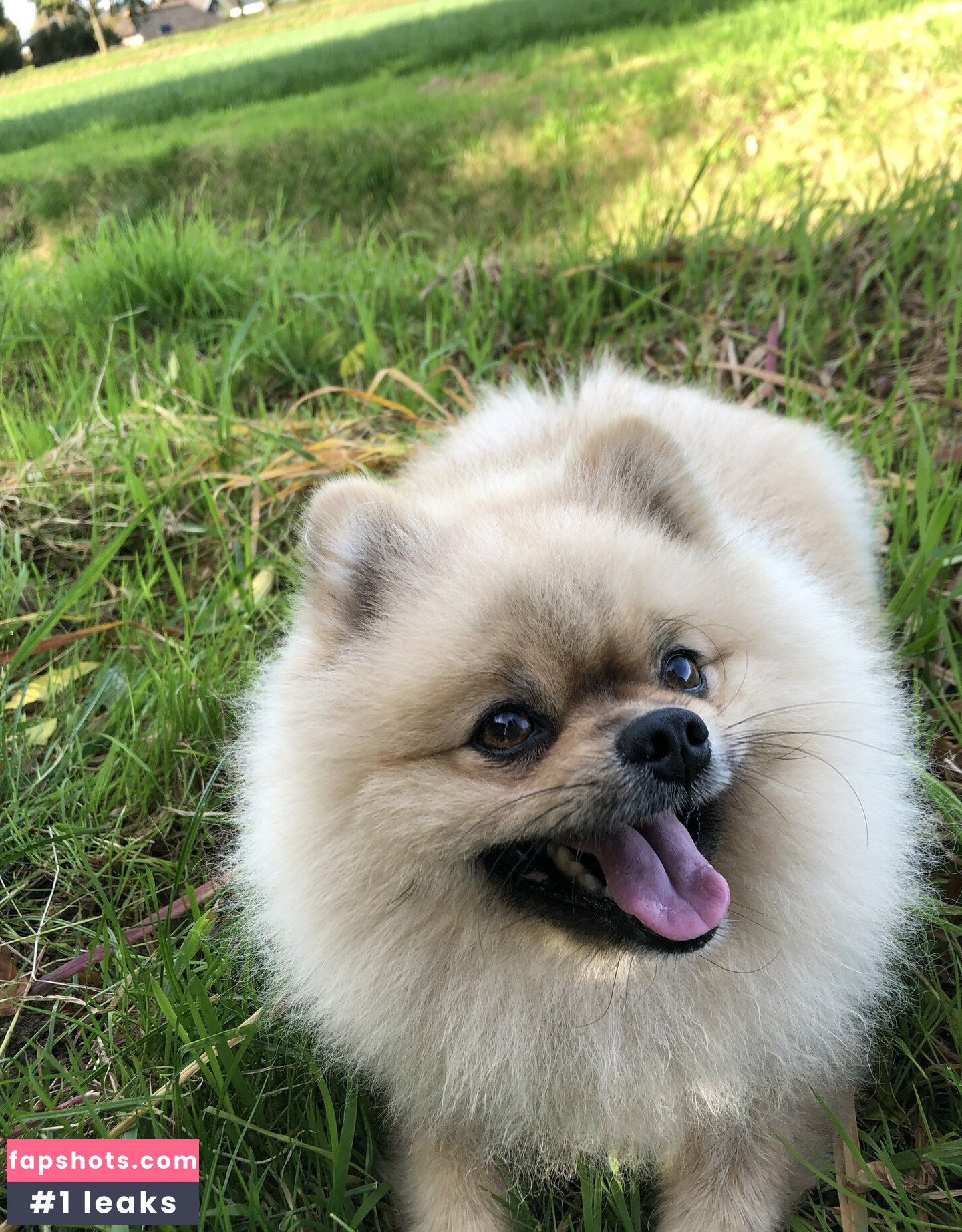 siswet19 gallery photo #194