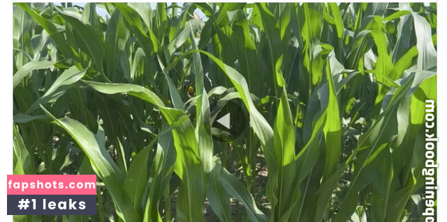 siswet19 gallery photo #203