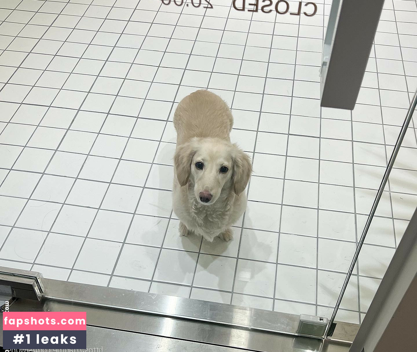 Siw0ns 김시원해요 gallery photo #27