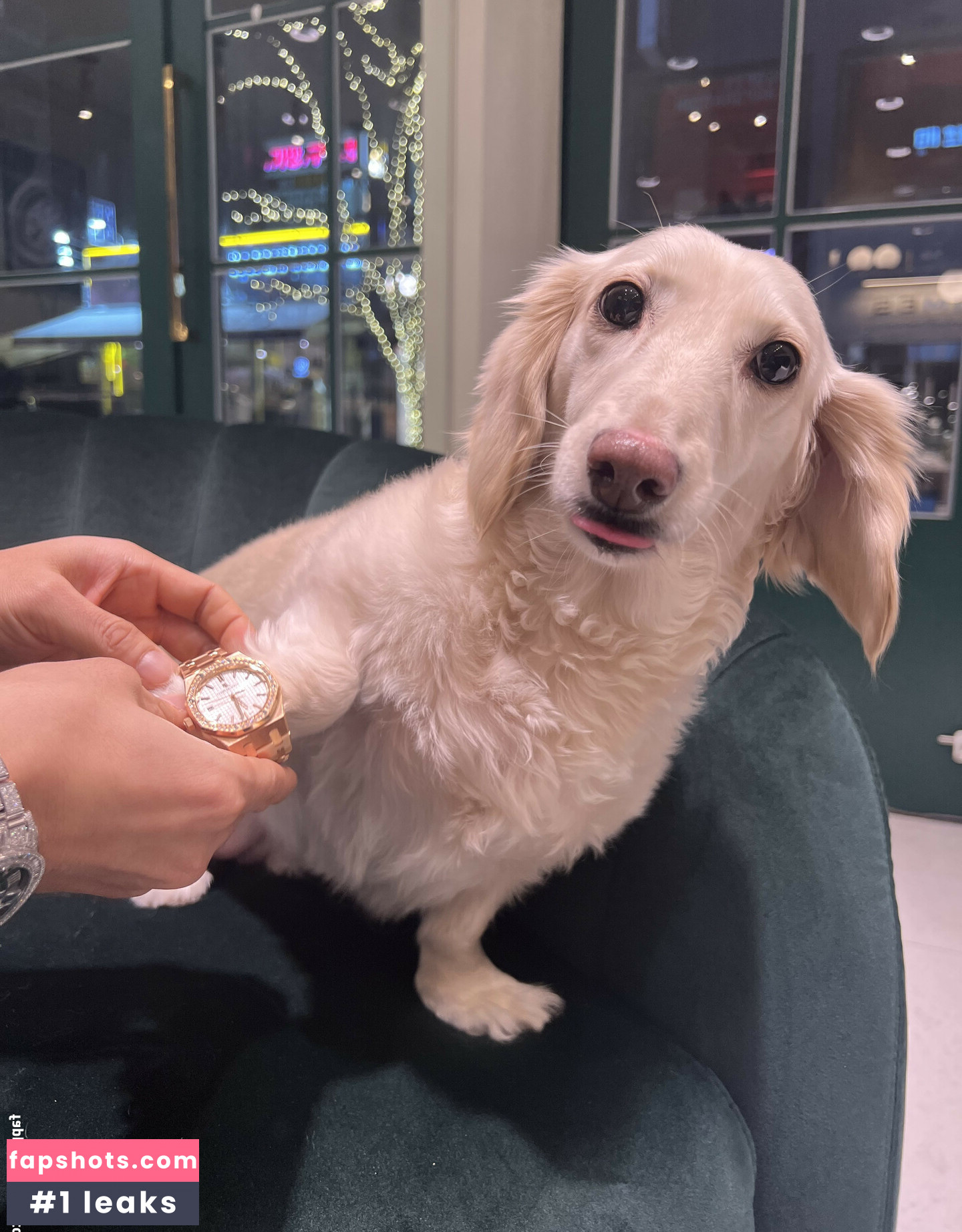 Siw0ns 김시원해요 gallery photo #30