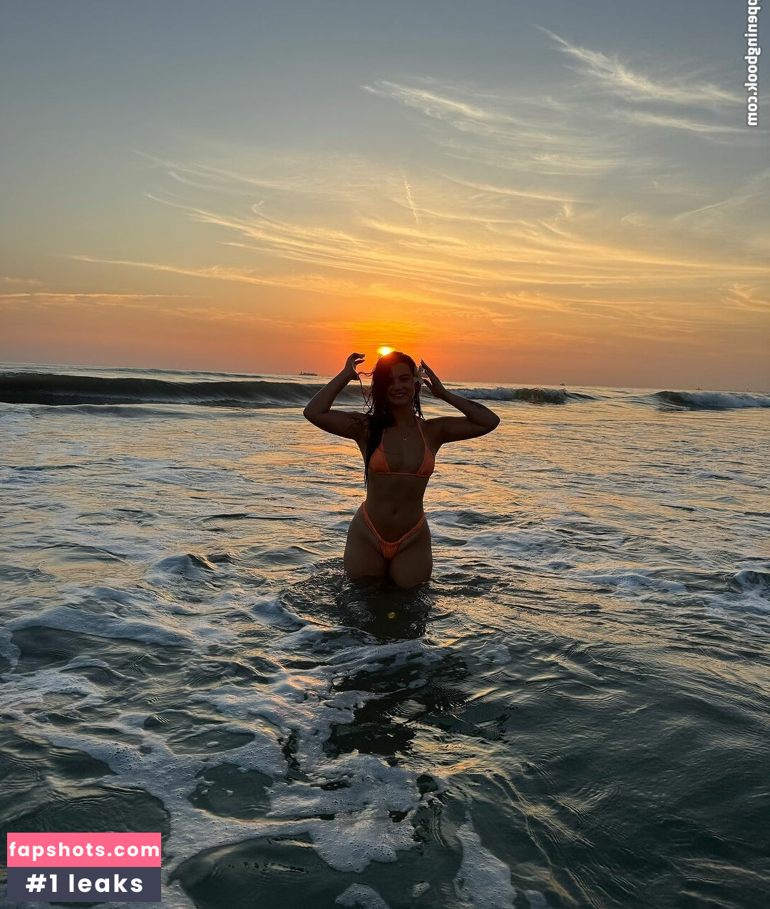 sjbleau gallery photo #4