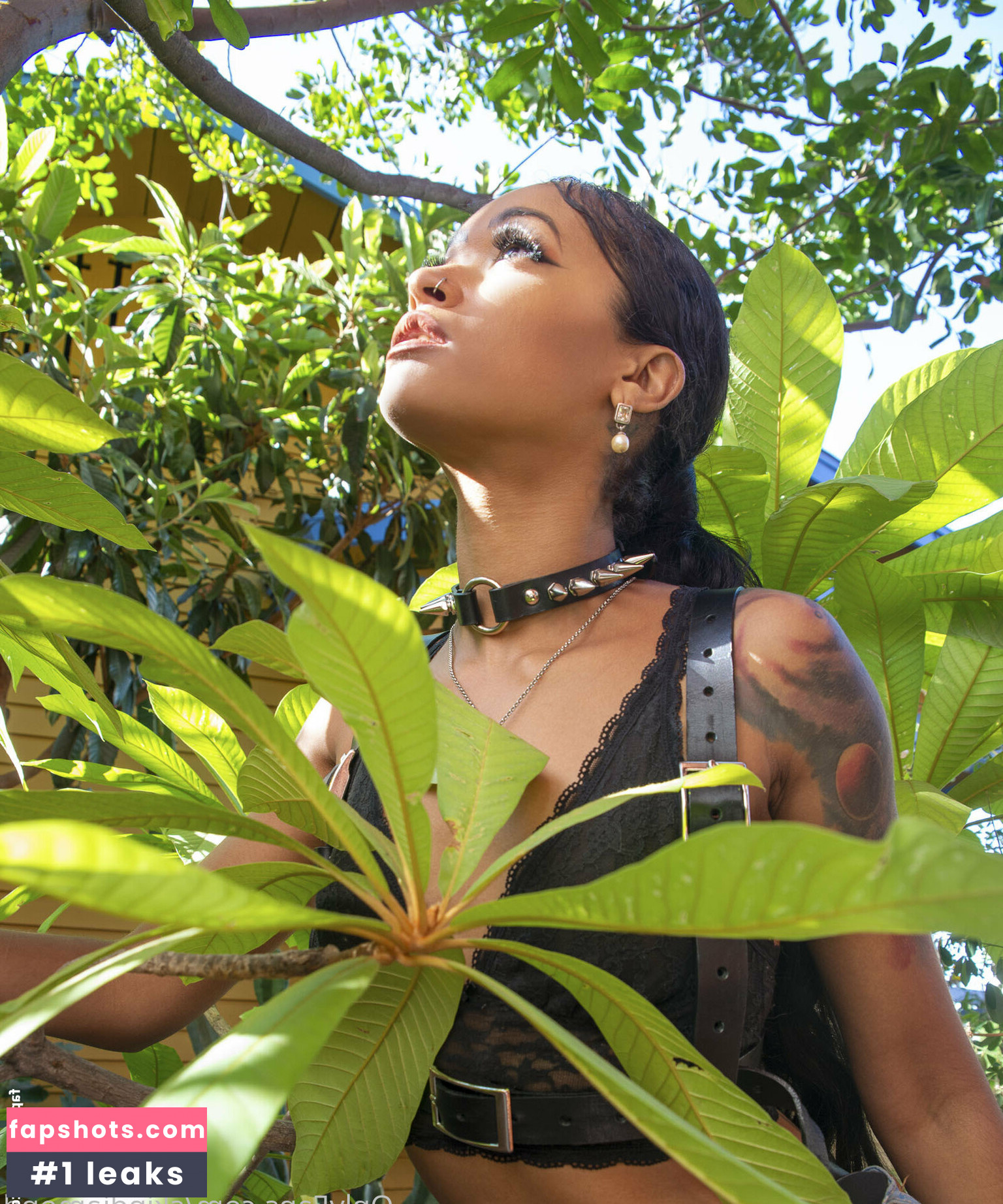 skindiamond gallery photo #27