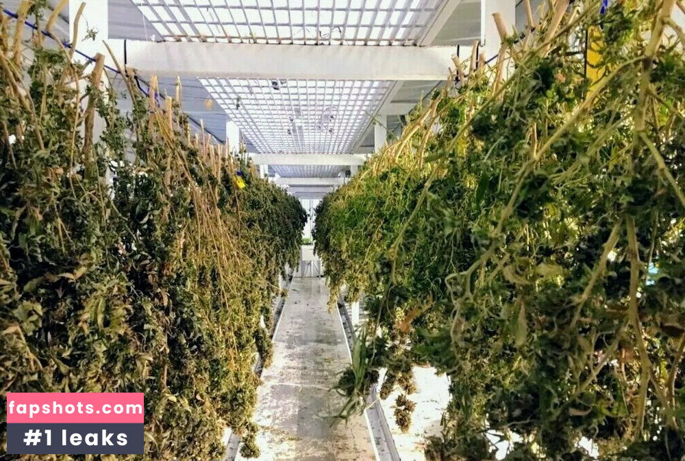 skitttziez gallery photo #19