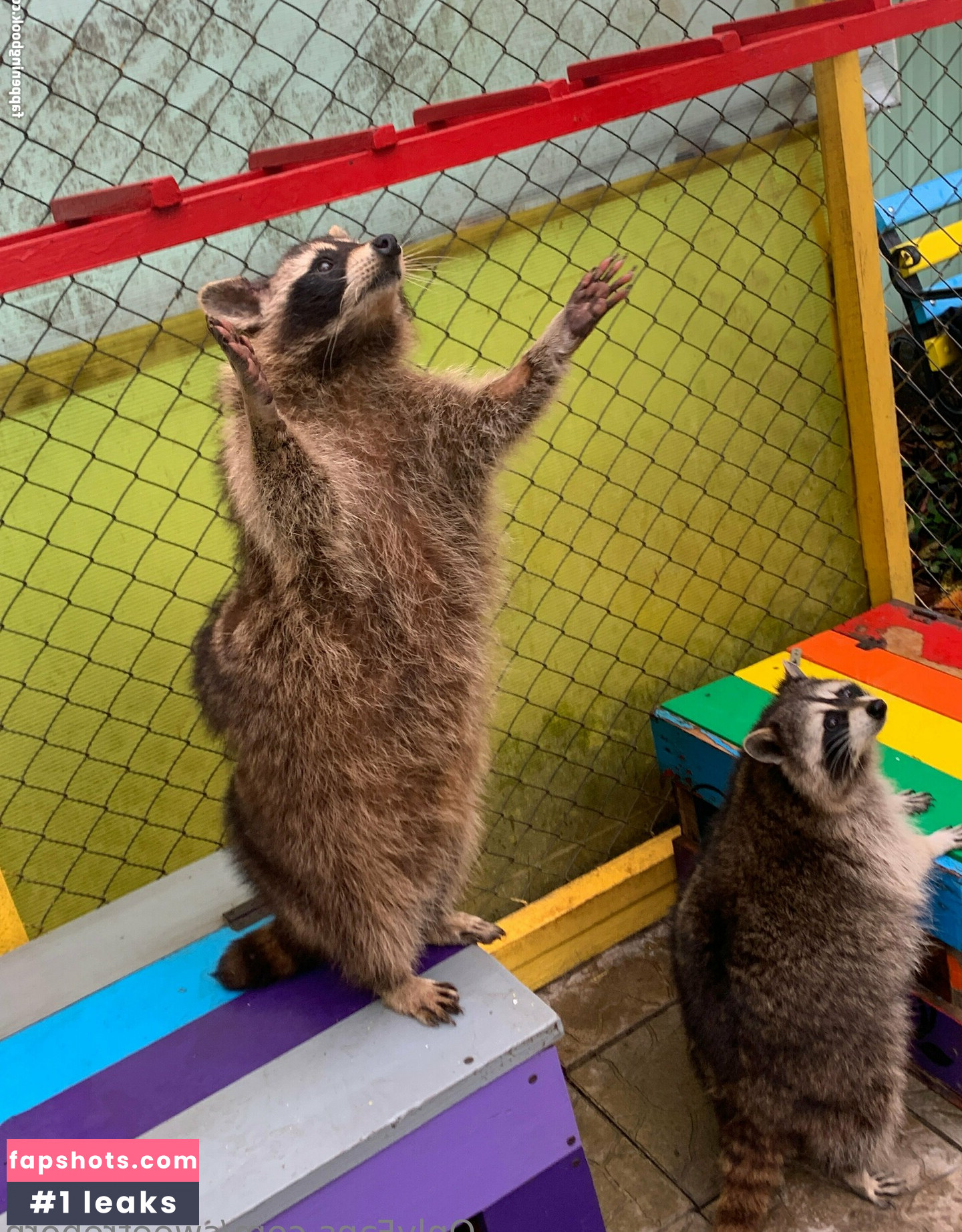 skybon Nude Leaks OnlyFans Photos #8 - Fapshots