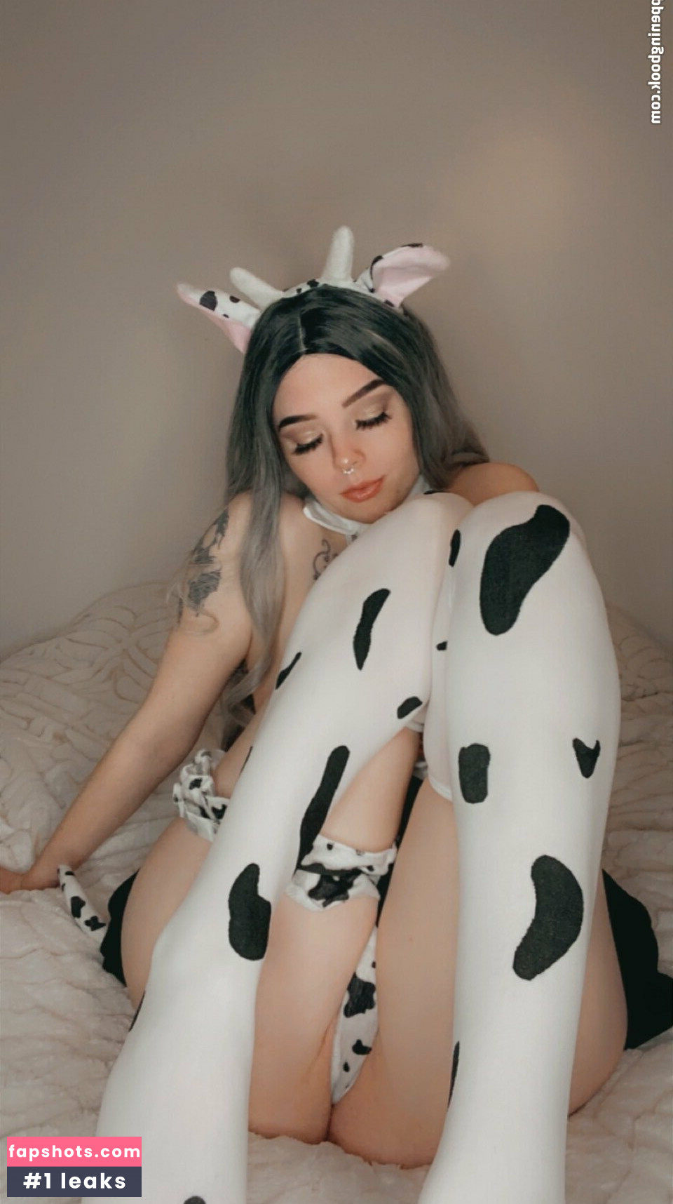 skyestone9 gallery photo #33