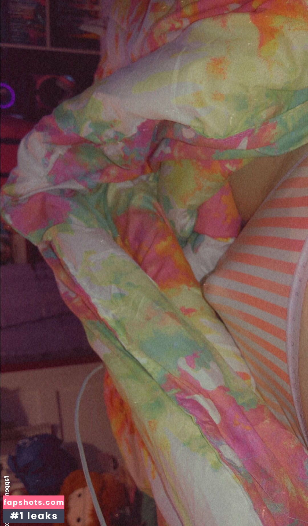 skylakat gallery photo #2